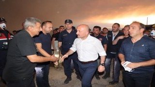 Aydın Valisi Varol yangın bölgesinde incelemelerde bulundu