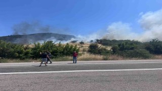 Ayvacıkta orman yangını