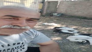 Bahçesindeki leyleklerin öldüğünü görünce gözyaşlarına boğuldu
