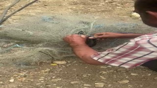 Balık ağında mahsur kılan yılanı elleriyle kurtardı