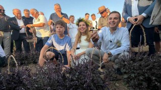 Balıkesirde 7.Uluslararası Aromaterapi Festivali başladı