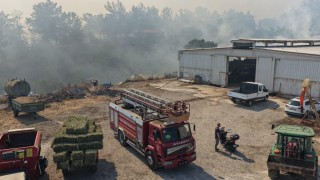 Balıkesir'de üç ayrı noktada yangın