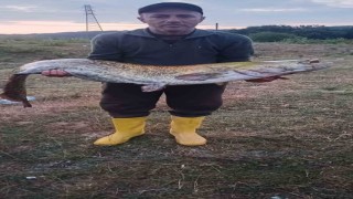 Barajın devi oltaya takıldı: 35 kiloluk yayın balığı yakaladı