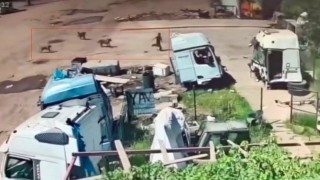Başıboş köpeklerin saldırısından saniyeler ile kurtuldu