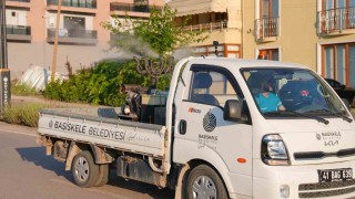 Başiskelede sinek ve haşerelere karşı ilaçlama çalışmaları sürüyor