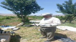 Batmanda bir vatandaş yakaladığı yılanı doğaya bıraktı