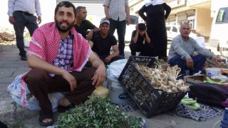 Batmanda doğal şifa mesaisi: Bahçelerden toplanan semizotu hem sağlık hem geçim kaynağı oldu