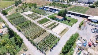 Battalgazi Belediyesi parklarda kendi üretimini kullanıyor