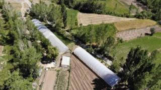 Bayburtta yüzde 70 hibeli sera projesi için başvurular yarın başlıyor