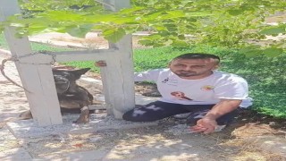 Belçika kurdunu zehirleyip direğe asarak telef ettiler