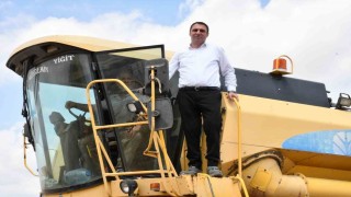 Beylikova Belediyesi hububat hasadına başladı