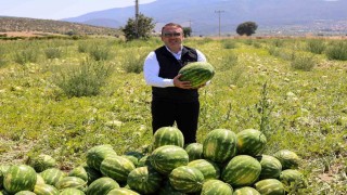 Bilecikte 62 bin tonluk karpuz hasadı bekleniyor