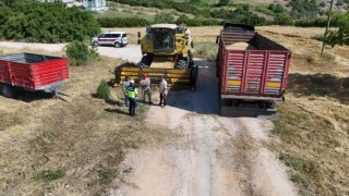 Bilecikte hasat öncesi kritik uyarı