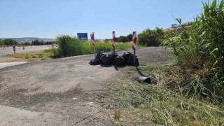 Bilecikte jandarma poşet poşet çöp topladı