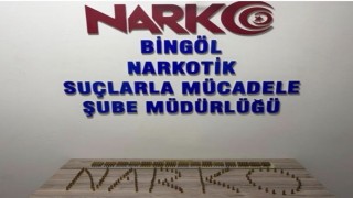 Bingölde 600 fişek ele geçirildi: 1 tutuklama