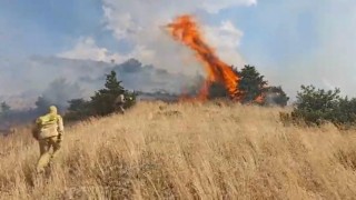 Bingölde orman yangını
