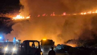 Bodrum'da makilik alanda yangın