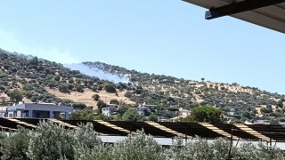 Bozdoğanda zirai alan yangını