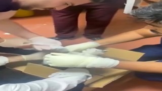 Bu kez hastaya değil, kediye müdahale