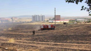 Buğday tarlasında yangın çıktı, dumanlar trafik kazasına neden oldu: 1 yaralı