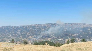 Buldanda makilik alanda yangın çıktı