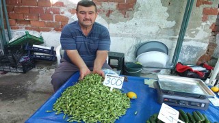 Burhaniyede bamya üreticisine kazandırdı