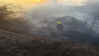 Burhaniyede ot yangınını itfaiye söndürdü