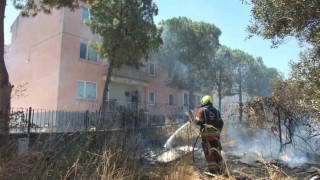 Burhaniyede zeytinliğe sıçrayan ot yangını polis merkezinde korkuya neden oldu