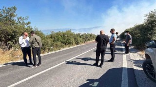 Bursada ormanlık alanda yangın çıktı