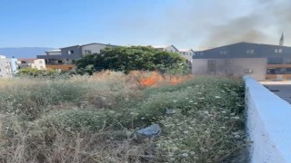 Bursada otluk alanda çıkan yangın söndürüldü