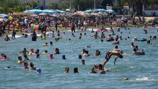 Bursanın sahillerinden Temmuz ayında da sevindiren haber