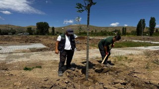 Büyükşehirden Şahruh Köprüsü yanına dev etkinlik alanı