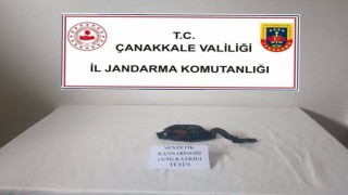 Çanakkale ve 5 ilçede uyuşturucu operasyonlarında 15 gözaltı