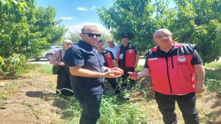 Çanakkalede bitkisel üretim projeleri değerlendirildi