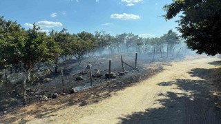 Çanakkale'de tarım arazisinde çıkan yangın kontrol altına alındı