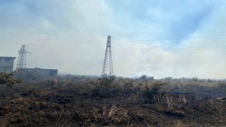 Çanakkalede tarım arazisinde yangın