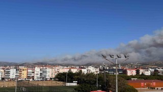 Çanakkaledeki orman yangınına müdahale sürüyor