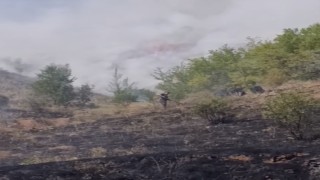 Çankırıda çıkan arazi yangını söndürüldü