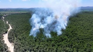 Çatalca Ormanlıda orman yangını havadan ve karadan müdahaleyle söndürüldü