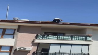 Çatıdaki tehlikeli çalışma kameraya yansıdı