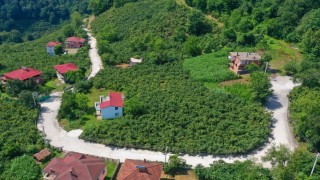 Çaybaşında grup yolu betonla buluşturuluyor