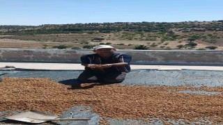 Çermikte dutlar pazardaki yerini aldı