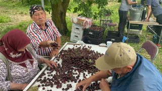 Coğrafi işaretli Akşehir ve Sultandağı kirazlarında tarihi rekor kırıldı