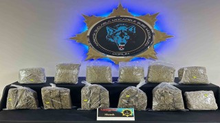 Çorumda 9 kilo skunk ele geçirildi: 1 tutuklama
