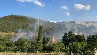 Çorumdaki orman yangını kontrol altına alındı