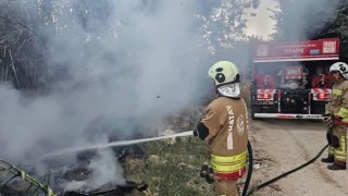Defnede sazlık alan yangını büyümeden söndürüldü
