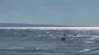 Denizde dubaların dışına çıkan baba ve iki kızı ölüm tehlikesi atlattı