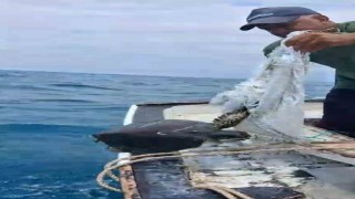 Denize atılan çuvala dolanarak hayat mücadelesi veren caretta carettayı balıkçı kurtardı