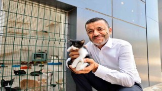 Denizli Büyükşehirden can dostlarına şefkat eli