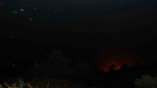 Denizlideki orman yangını gece saatlerinde rüzgarın etkisiyle tekrardan etkili oldu